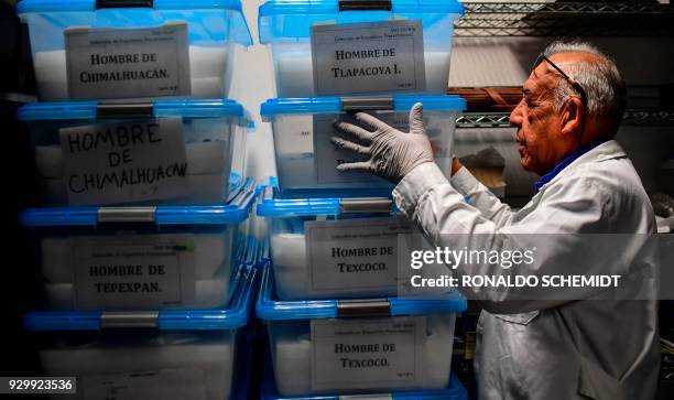 Concepcion Gimenez, physical anthropologist and academic responsible of the "Osteoteca" , at the Anthropology National Museum , piles up boxes with...