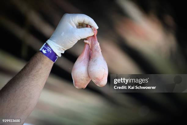 Sheep testicles are sold as mountain oysters during the Hokitika Wildfoods Festival on March 10, 2018 in Hokitika, New Zealand.