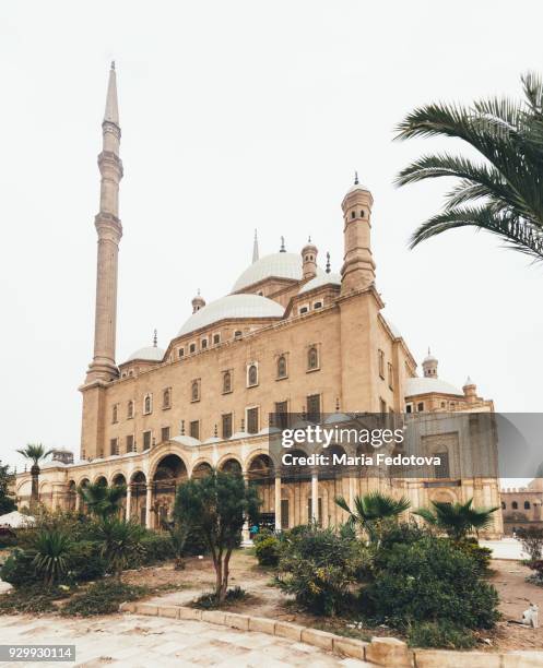 salah el din citadel, cairo, egypt - alabaster mosque stock pictures, royalty-free photos & images