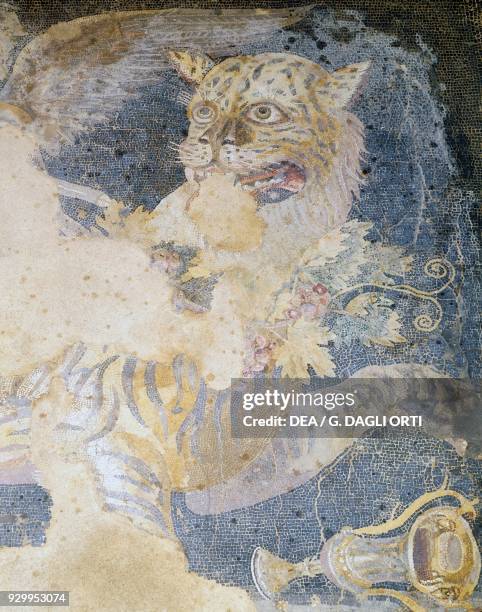 Tiger being ridden by Dionysus, detail of the mosaic floor in the house of Dionysus, Delos , island of Delos, Greece. Greek civilisation, 2nd century...