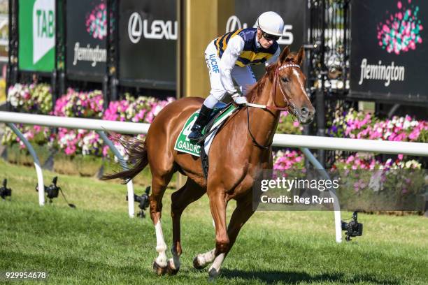 Gailo Chop ridden by Mark Zahra heads to the barrier before the TAB Australian Cup at Flemington Racecourse on March 10, 2018 in Flemington,...