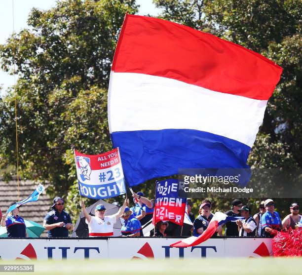Dogs fans celebrate a goal during the JLT Community Series AFL match between Collingwood Magpies and the Western Bulldogs at Ted Summerton...