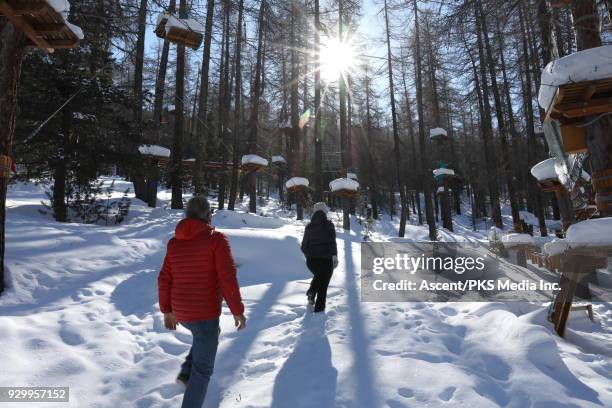 657 High Ropes Stock Photos, High-Res Pictures, and Images - Getty Images
