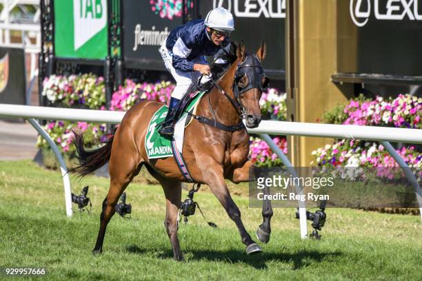 Almandin ridden by Damien Oliver heads to the barrier before the TAB Australian Cup at Flemington Racecourse on March 10, 2018 in Flemington,...