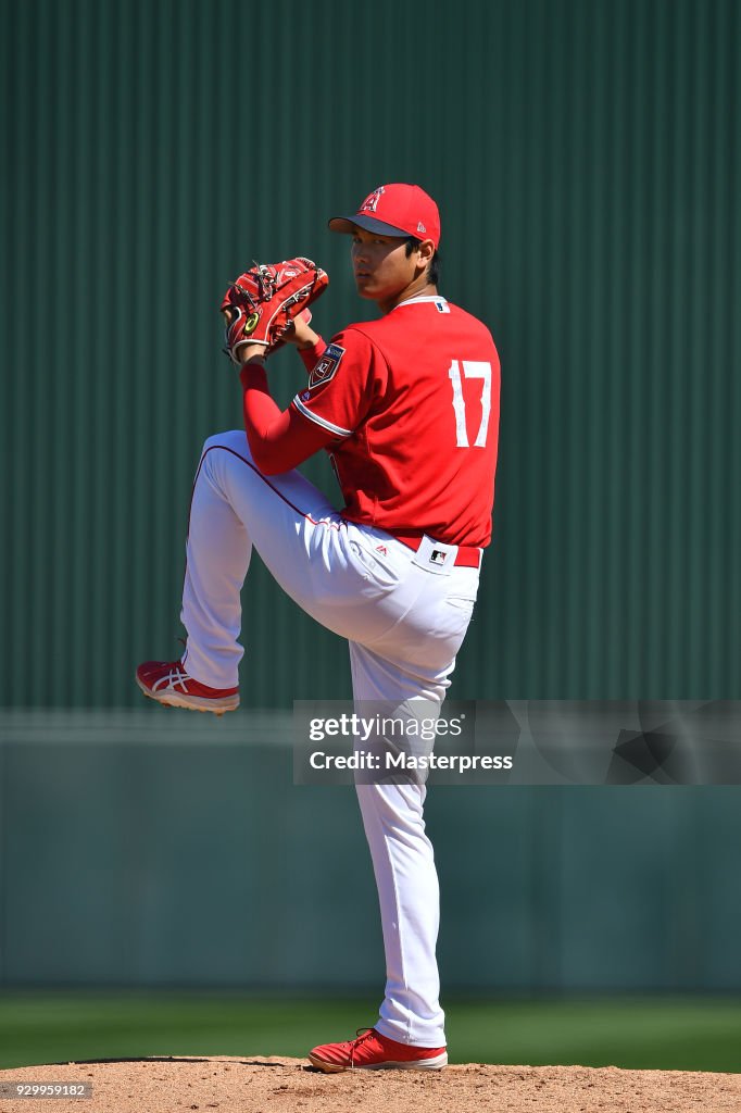 Los Angeles Angels Spring Training