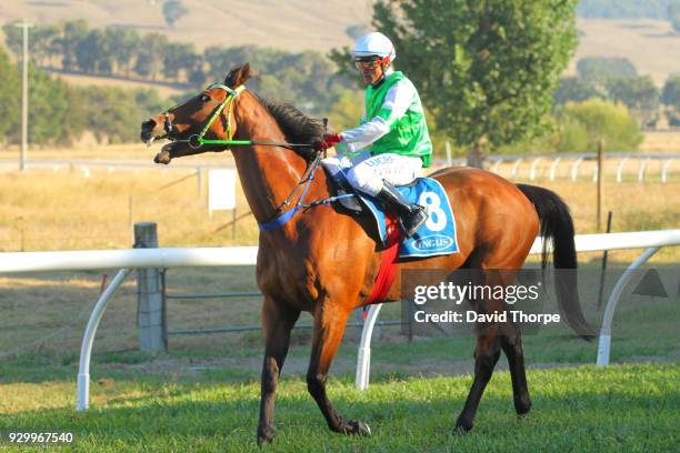 Mark Ridden 1,531 Towong Victoria Stock Photos, High-Res Pictures, and Images ...