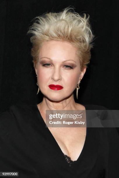Cyndi Lauper attends the fifth annual Focus for Change benefit dinner and concert at Roseland Ballroom on November 11, 2009 in New York City.