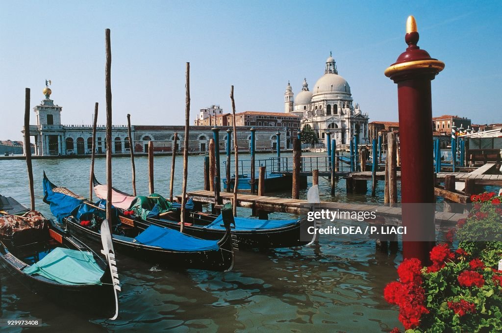 Gondolas moored in canal, Venice