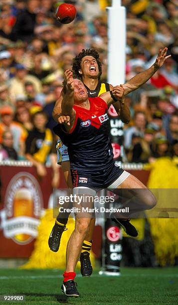 Darren Gaspar of Richmond attempts to spoil a mark by David Schwarz of Melbourne, during the match between the Melbourne Demons and the Richmond...