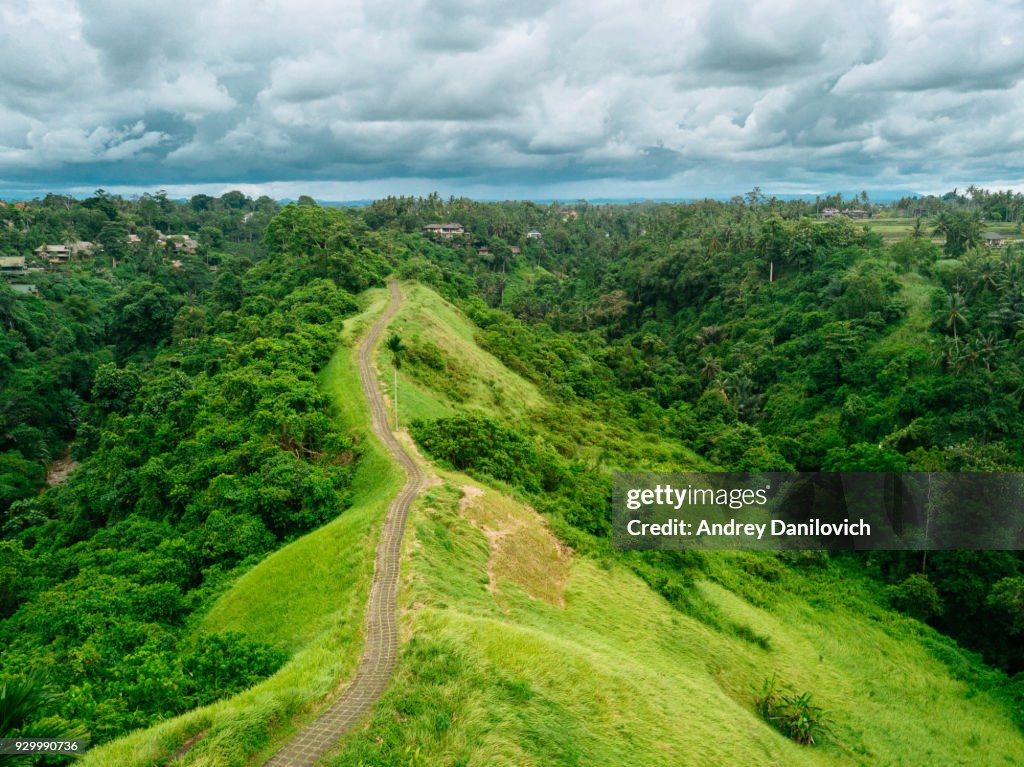 Campuhan Ridge Walk in Ubud