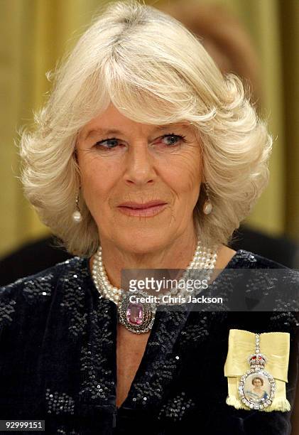 Camilla, Duchess of Cornwall attends a State Dinner at the Governor General's Residence on November 11, 2009 in Ottawa, Ontario, Canada. The Royal...