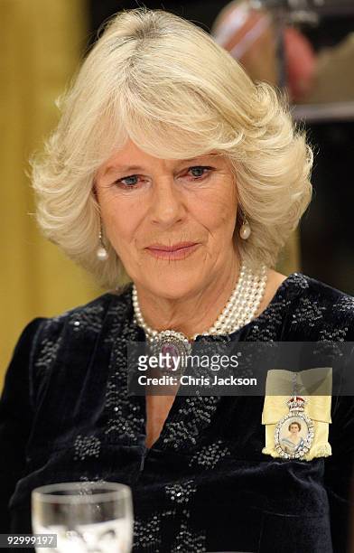 Camilla, Duchess of Cornwall attends a State Dinner at the Governor General's Residence on November 11, 2009 in Ottawa, Ontario, Canada. The Royal...