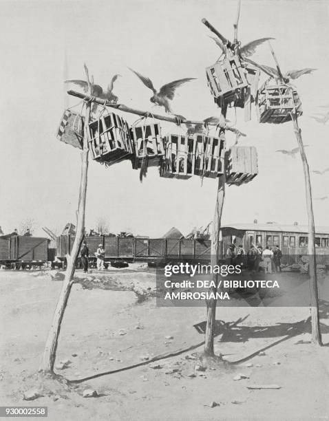 Tongusi men beheaded for trying to derail a train, along the Trans-Manchurian railway between Harbin and Mukden , China, Russo-Japanese war, from...