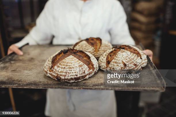 midsection of baker holding fresh baked breads in tray at bakery - bread bildbanksfoton och bilder