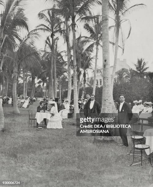 Winter afternoon tea in Florida in the shade of the palm trees, United States of America, from L'Illustrazione Italiana, Year XXXVI, No 6, February...