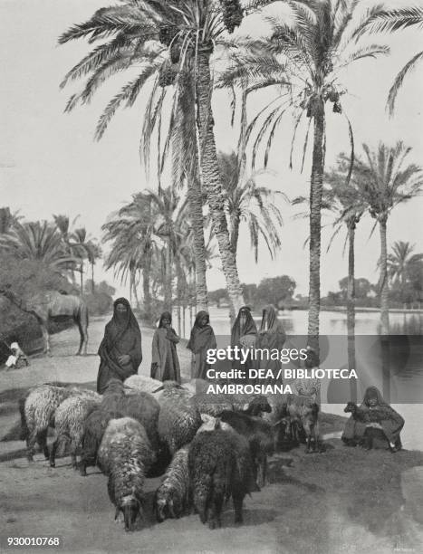 Shepherds with sheep in Rhodes, Greece, Italian-Turkish war, photograph by Le Kegian, from L'Illustrazione Italiana, Year XXXIX, No 20, May 19, 1912.