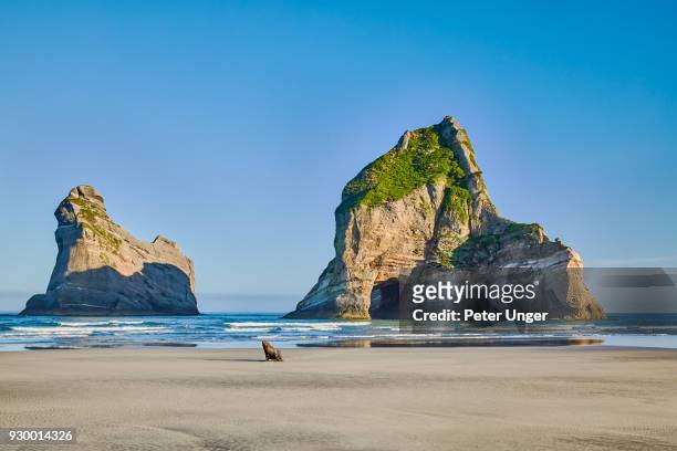 archway islands at wharariki beach,cape farewell, tasman, new zealand - puponga stock pictures, royalty-free photos & images