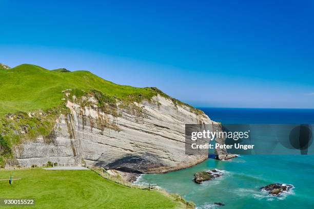 cape farewell arches, tasman, new zealand - puponga stock pictures, royalty-free photos & images