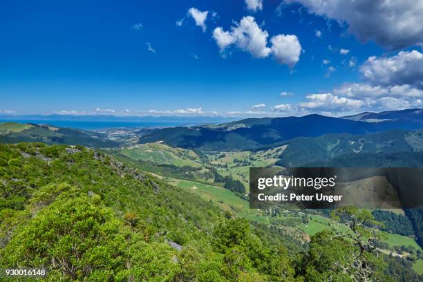 view of kahurangi national park and golden bay, tasman, new zealand - kahurangi national park fotografías e imágenes de stock