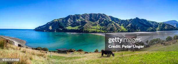 cable bay causeway, nelson, new zealand - peter nelson imagens e fotografias de stock