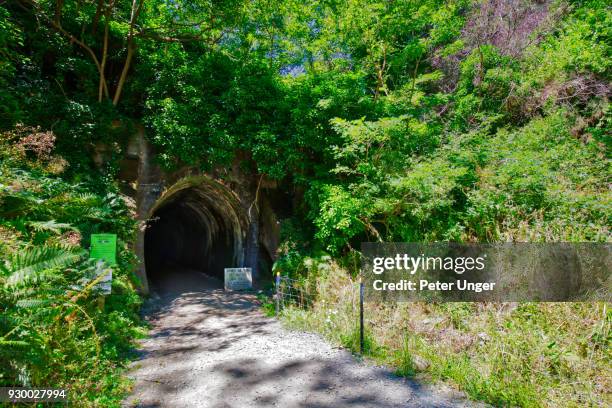 spooners tunnel, walking and cycle tunnel, belgrove, tasman, south island, new zealand - nelson new zealand stock-fotos und bilder