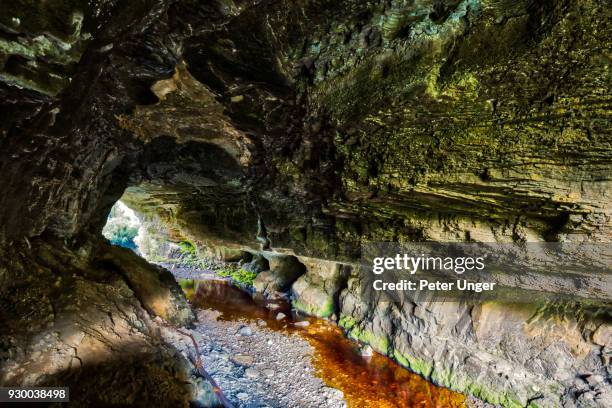 oparara arch, kahurangi national park, oparara basin, west coast, south island, new zealand - kahurangi national park stock-fotos und bilder