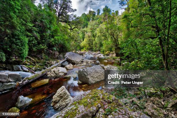 oparara river stream, kahurangi national park, west coast, south island, new zealand - kahurangi national park stock-fotos und bilder