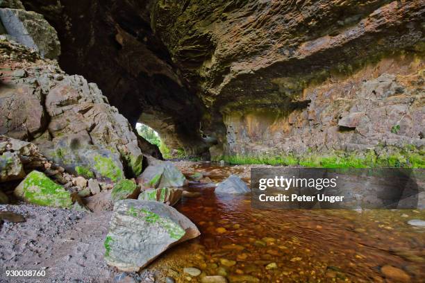 oparara arch, kahurangi national park, oparara basin, west coast, south island, new zealand - kahurangi national park stock-fotos und bilder