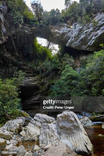 oparara arch, kahurangi national park, oparara basin, west coast, south island, new zealand - kahurangi national park fotografías e imágenes de stock