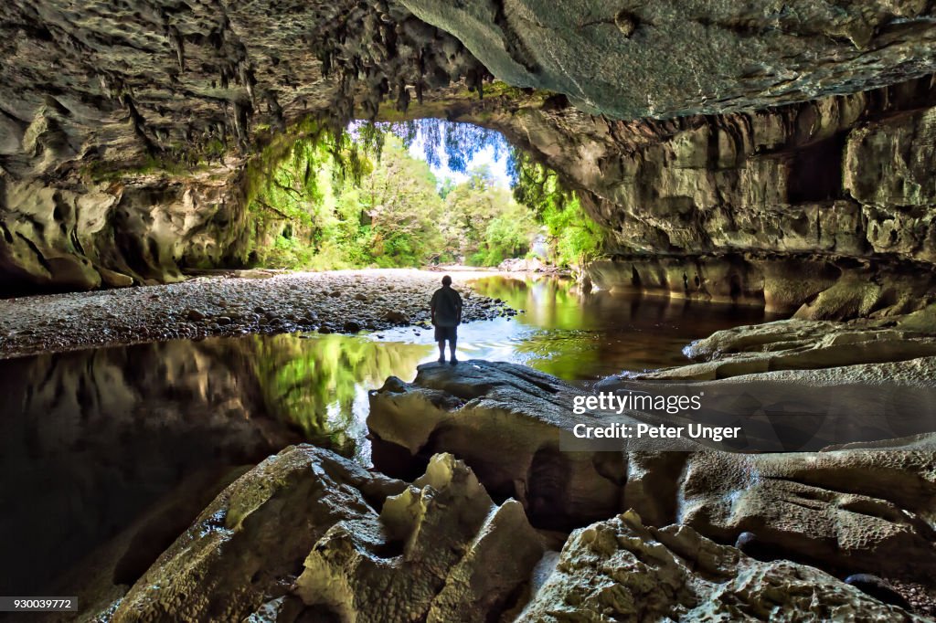 Moria Gate Arch, Oparara basin, Kahurangi National Park, West Coast, South Island,New Zealand