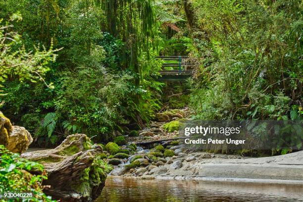 bridge on walking track at kahurangi national park at oparara basin, west coast, south island,new zealand - kahurangi national park stock-fotos und bilder