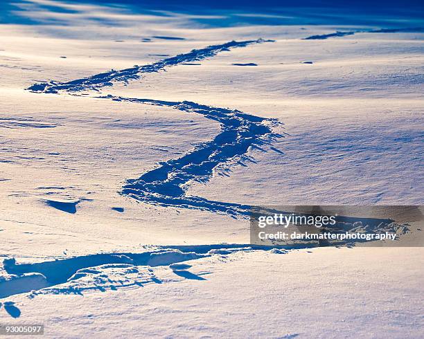 snowshoe - c919 stockfoto's en -beelden