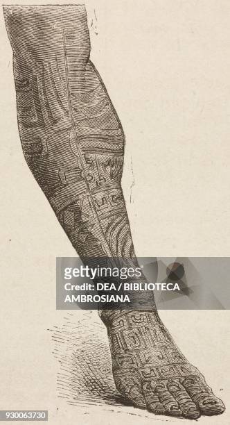 Leg of Taio-Hae bay native decorated with tribal designs, Nuku Hiva island, French Polynesia, life drawing by Oscar-Pierre Mathieu , from The...