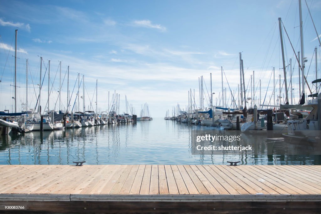 Yachts moored in a harbor