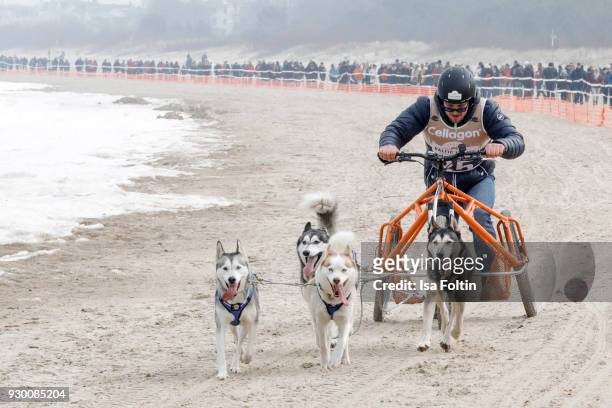 Former German weightlifter and olympic gold medalist Matthias Steiner runs with sled dogs during the 'Baltic Lights' charity event on March 10, 2018...