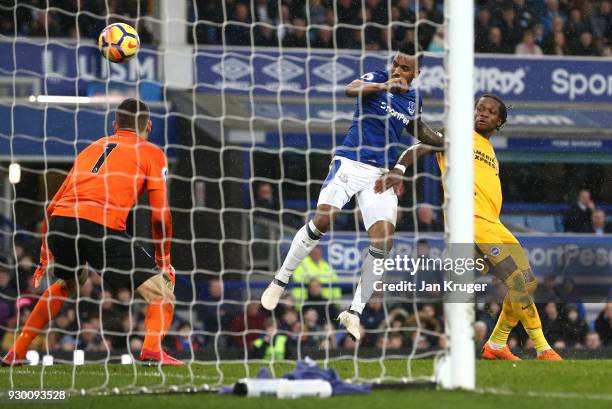 Gaetan Bong of Brighton and Hove Albion scores a own goal for Everton's first goal during the Premier League match between Everton and Brighton and...