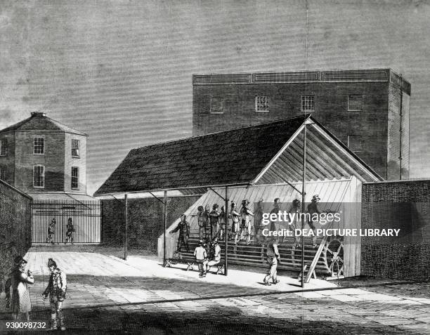 Mechanized loom in a cotton mill, New England, United States, 18th-19th century.