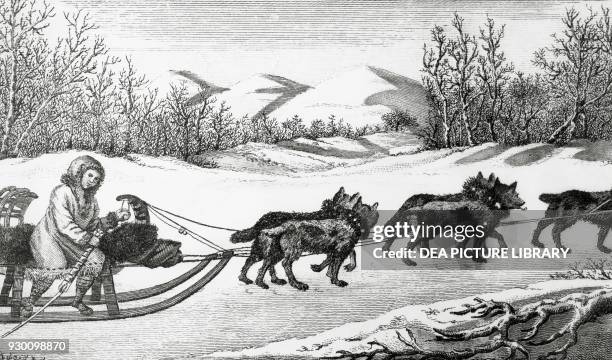 The Narta, sledge for burdens in Kamchatka, Russia, engraving, from Captain Cook's last voyage, 1776-1780, 18th century.