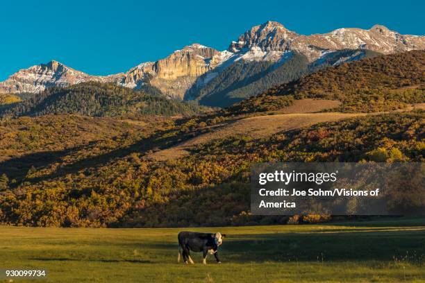 Cimarron Mountain Range in southwestern Colorado of the San Juan Mountains in Ouray County.
