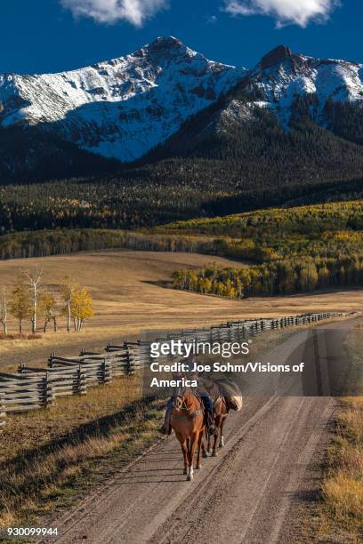 Older Cowboy, Howard Linscott , leads packhorse across historic Last Dollar Ranch on Hastings Mesa, SW Colorado, San Juan Mountains.