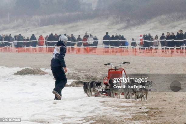 German actor Timothy Boldt with sled dogs during the 'Baltic Lights' charity event on March 10, 2018 in Heringsdorf, Germany. The annual event hosted...