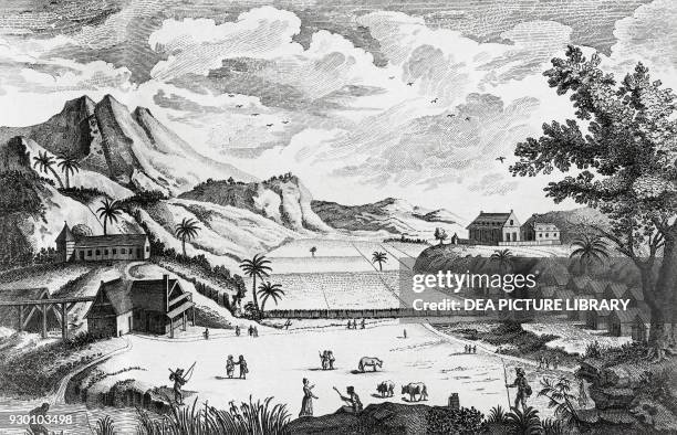 View of a sugar plantation, French West Indies, Antilles, engraving from Encyclopedie, ou Dictionnaire raisonne des sciences, des arts et des...