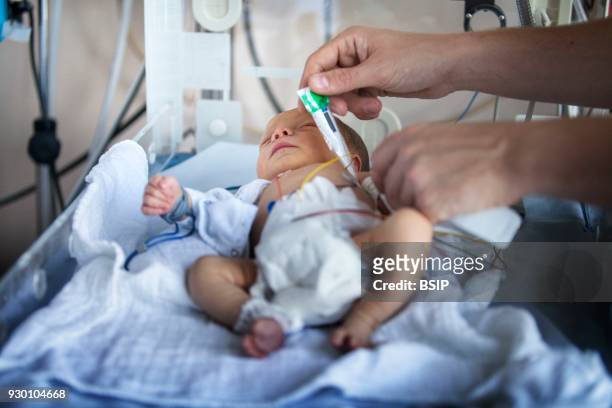 Level 2 neonatal unit hospital, Haute-Savoie, France, auxiliary nurse takes a newborn baby's temperature.