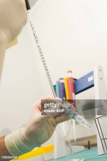 52 Andrology Lab Stock Photos, High-Res Pictures, and Images - Getty Images