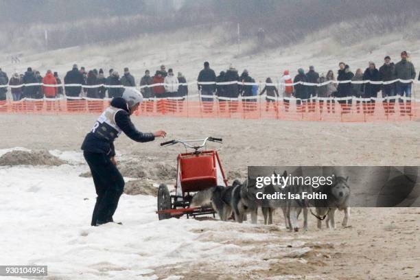 German actor Timothy Boldt with sled dogs during the 'Baltic Lights' charity event on March 10, 2018 in Heringsdorf, Germany. The annual event hosted...