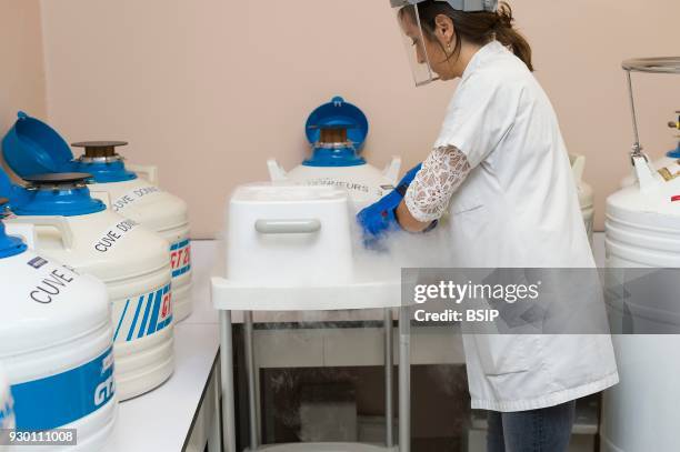 Reproductive biology service, Nice, France, In Assisted Reproductive Technology, ART, lab, Embryonic vitrification.