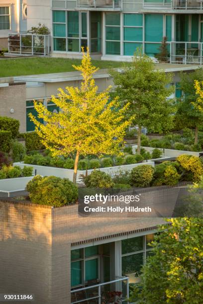 rooftop gardens - dachterasse stock-fotos und bilder