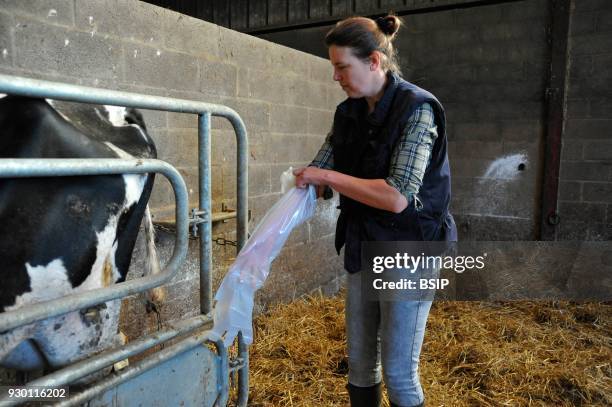 Traveling vet, Ham in the Somme area of France, Every day she travels the countryside to owners homes to care for animals.