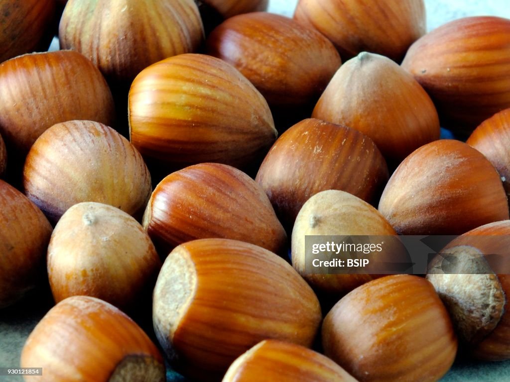 Hazelnut