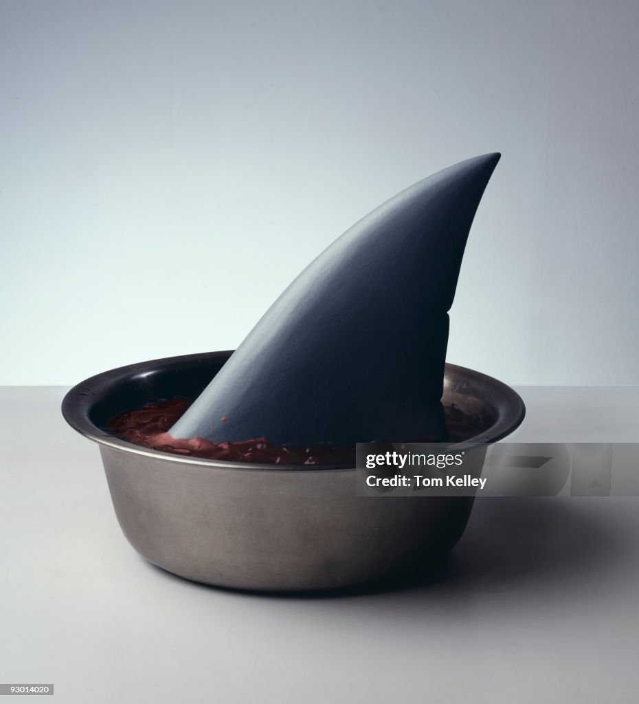 Shark's Fin Soup